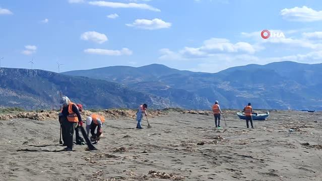 Samandağ'da petrol canlıları da tehdit ediyor